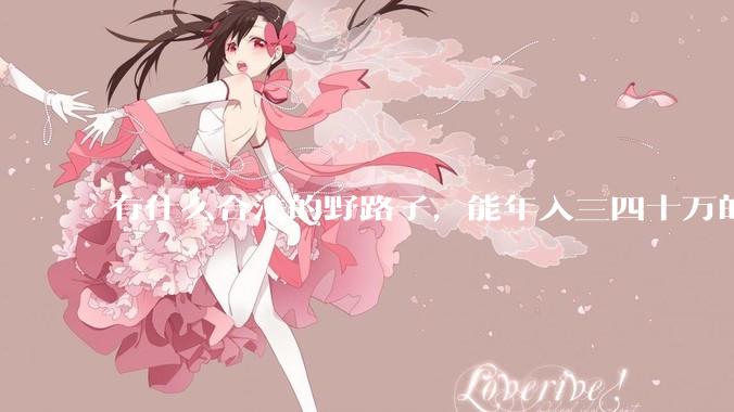 有什么合法的野路子，能年入三四十万的？